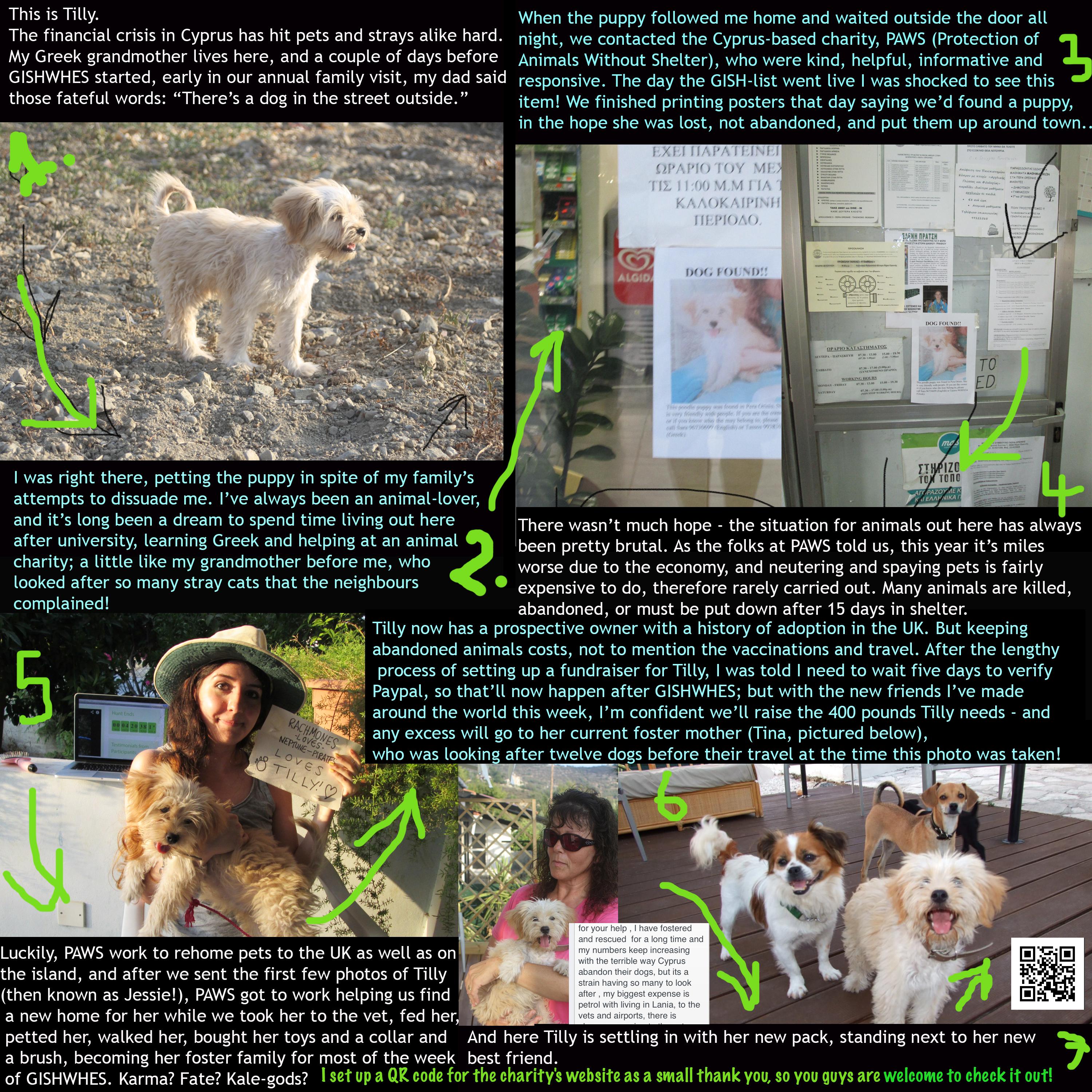 Item 61 - Pet Adoption Flyer